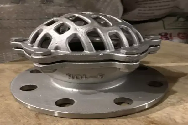 Rọ bơm inox 304